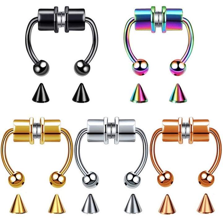 MagSeptum - Magnetic Septum Ring