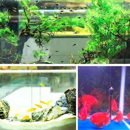 FISHYCUBE™ - ECO-AQUARIUM WATER PURIFIER CUBE