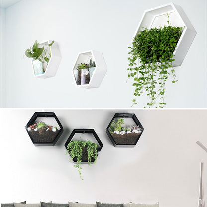 Geovase - Indoor Floating Terrarium