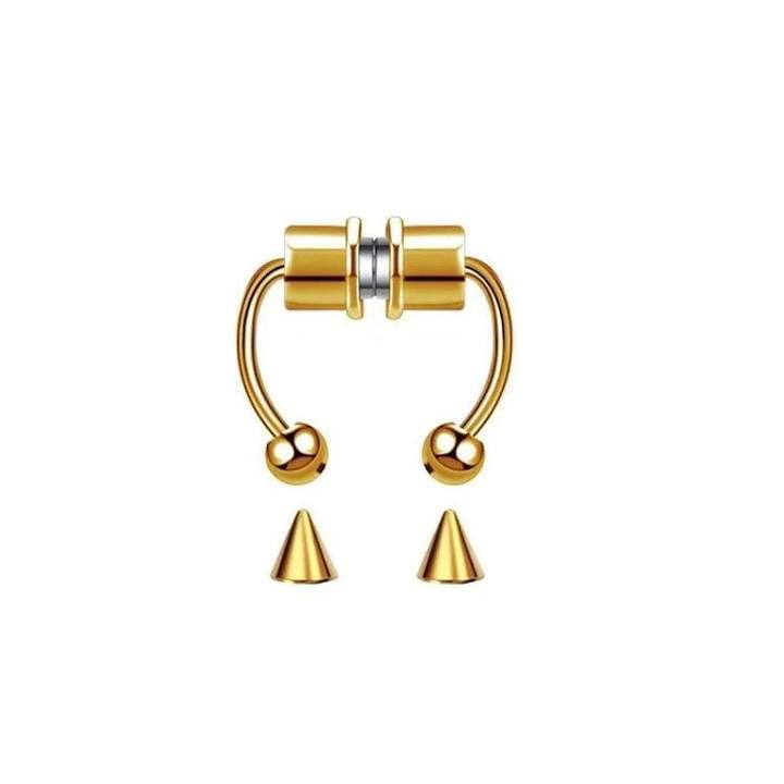 MagSeptum - Magnetic Septum Ring
