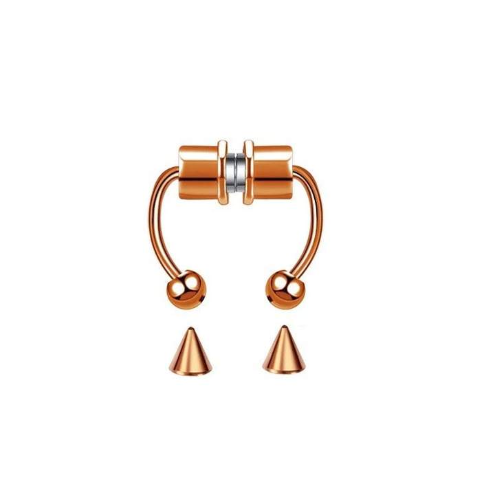 MagSeptum - Magnetic Septum Ring