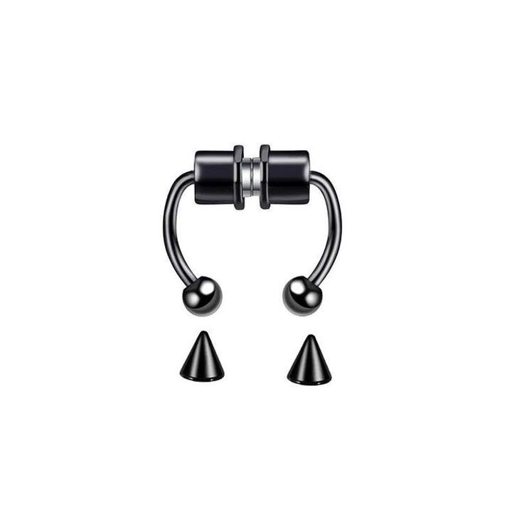 MagSeptum - Magnetic Septum Ring