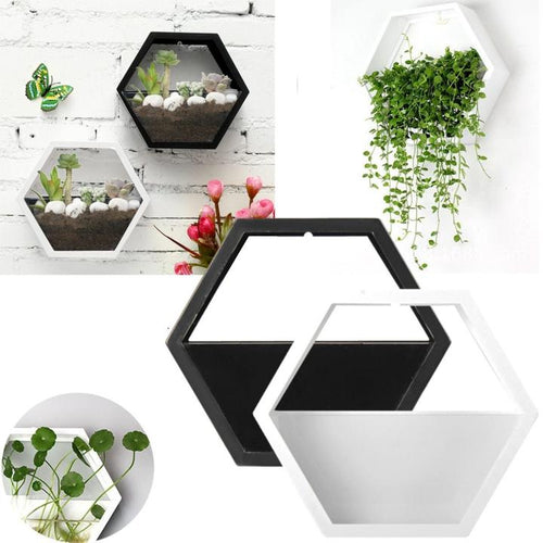 Geovase - Indoor Floating Terrarium
