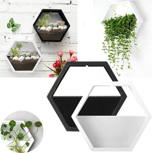 Geovase - Indoor Floating Terrarium