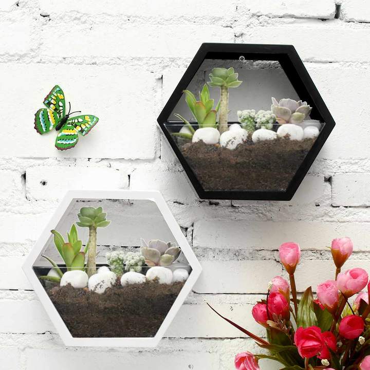 Geovase - Indoor Floating Terrarium